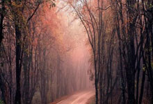 征途国际官网：业内人士：申花亚冠之旅算得上成功，斯卢茨基在努力解决问题.