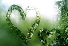 郑钦文迎涨分空间！红土赛季冲击世界前四，状态回暖保分压力较小.