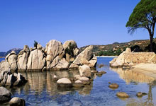 天空体育盘点阿森纳新总监运作的知名转会：格列兹曼、罗德里等人领衔.